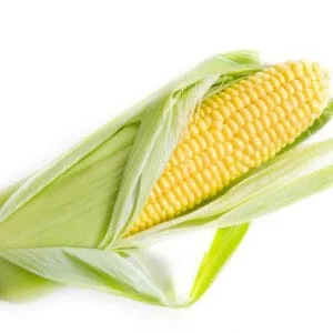 Sweet Corn.